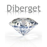 Diberget diamond trader and wholesale Antwerp logo - Similar company to Rio Diamond Corp.