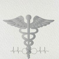 RebekHoffman (IT and Healthcare) Staffing Solutions logo - Similar company to Rockrahm: It Staffing Service