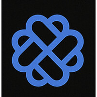 doshin.ai logo - Similar company to The S&A Transform Group