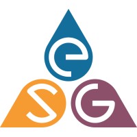 ESG Professional Accountants logo - Similar company to Fine Point Consulting, Llc