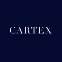 CARTEX INDIA logo - Similar company to Cartech, Inc.