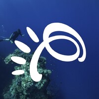 Your Travel Agencia de Viajes Online logo - Similar company to Triskelion Expeditions