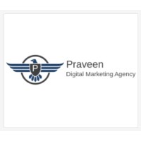 Praveen Digital Marketing Agency logo - Similar company to Adsmen India Digitalmarketing