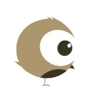 Clipbird video analysis software