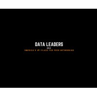 Data Leaders - USA logo - Similar company to Osiris Studios Llc