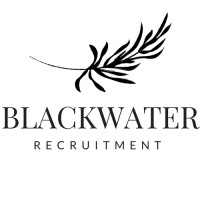 Blackwater Recruitment logo - Similar company to Blackwaters Consulting Group