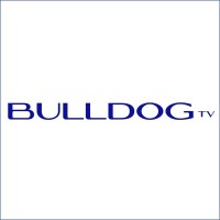 BULLDOG TV logo - Similar company to Decorporex Sl