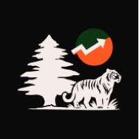 Tiger Wealth Capital logo - Similar company to Rewarder