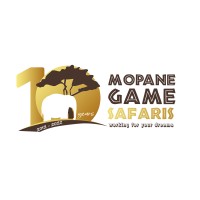 Mopane Safaris logo - Similar company to Central De Receptivos