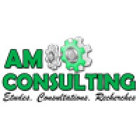 Am Consulting