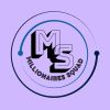 Millionaires Squad logo - Similar company to Remote Trybe