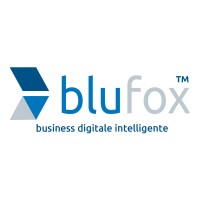 Blu Fox® logo - Similar company to Blu Fox