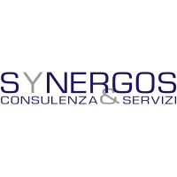 Synergos s.r.l. logo - Similar company to Presha Project