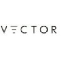 Vector Business Consulting logo - Similar company to Value Creation Advisory Services