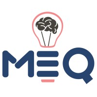 Meraviglia EQ Academy logo - Similar company to Copac
