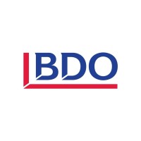 BDO Dominicana logo - Similar company to Fir Consulting Srl