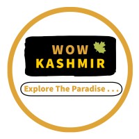 WowKashmir Travels logo - Similar company to Holidays Navigator