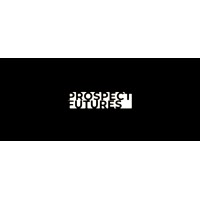 Prospect Futures logo - Similar company to Founder Accelerator
