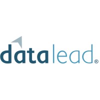 DataLead logo - Similar company to Datalead Ai