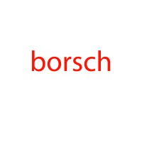 Borsch - Recruitment Of The Future