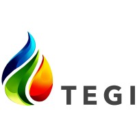 TEGI Limited logo - Similar company to Pequod Associates Ltd