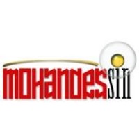 Mohandessin Consulting logo - Similar company to Webutiq Ab