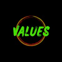 Values logo - Similar company to Silicon Micro System