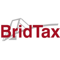 BridTax logo - Similar company to Project Solutions Sa De Cv
