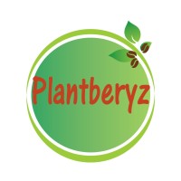 Plantberyz Foods logo - Similar company to Agroted India Llp