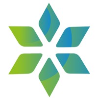 Vital Ai logo - Similar company to Vital.Ai