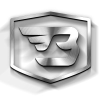 Berger Transport logo - Similar company to Setrans S.R.L.