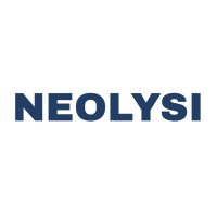 Neolysi Technologies logo - Similar company to Evince Technologies Pvt Ltd