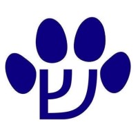 Judaica Concepts logo - Similar company to The Judaica Collection @ The Design Lab
