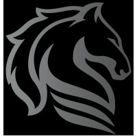 Dark Horse Defense LLC logo - Similar company to Betsco, Inc.