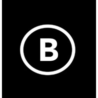 Brandsinger logo - Similar company to Siegelvision