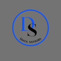 Data Saviors LLC logo - Similar company to Systemseven