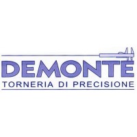 DEMONTE SAS logo - Similar company to Aspotech Srl