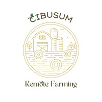CibuSum logo - Similar company to Widnet Solutions