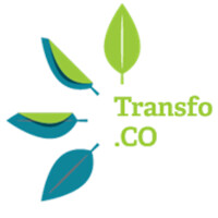 Transfo.Co - Au Coeur De La Transformation