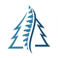 Northwood Chiropractic & Wellness logo - Similar company to Back In Motion