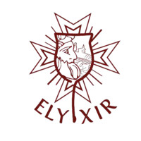 Elyxir ESSEC logo - Similar company to Plaidessec