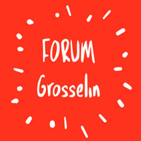 Forum Grosselin logo - Similar company to Argemí Bufano Architectes