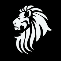 Lionsgate Capital logo - Similar company to Coca Interactive