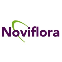 Noviflora Holland Bv