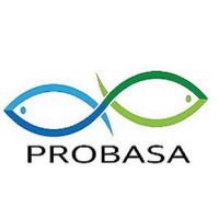 Procesadora Bayano S.A. logo - Similar company to Pegusa, S.A. De C.V.