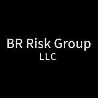 BR Risk Group, LLC logo - Similar company to Diversified Risk Solutions Llc