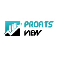 ProfitsView Tax and Accounting logo - Similar company to Global Soft Systems Pvt Ltd