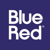 BlueRedGroup logo - Similar company to Froot Group