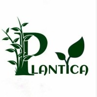 Plantica logo - Similar company to Zafaran Co.
