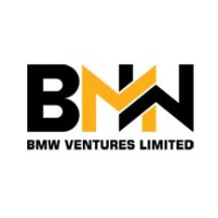 BMW Ventures Limited logo - Similar company to X
